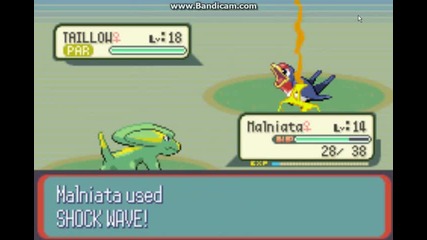 pokemon ruby s men Djcool #13