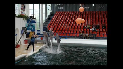 clip v definariuma