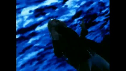 Rob Zombie - Superbeast