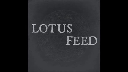 Lotus Feed - Drawn Too