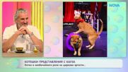 Котешки представления с кауза | На кафе | 23 септ. 2026