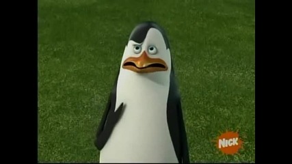 The Penguins of Madagascar - Mask of the Raccoon