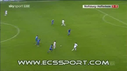 04.04.2010 Wolfsburg – Hoffenheim 4 - 0 