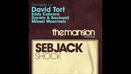 Sebjak - Shock (david Tort Remix) 
