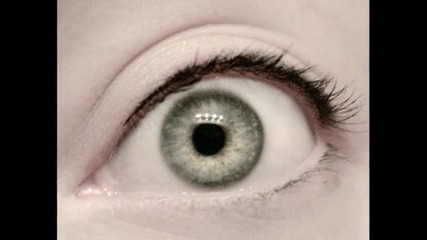 Eyes 