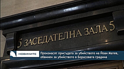 Произнасят присъдата за убийството на Йоан Матев, обвинен за убийството в Борисовата градина
