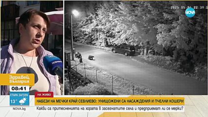 Зачестиха набезите на мечки в Севлиевско, хората се страхуват