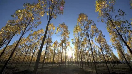 Emotional Trance vs Beautiful Life Mix by Tekiu Vol.1 (hd)