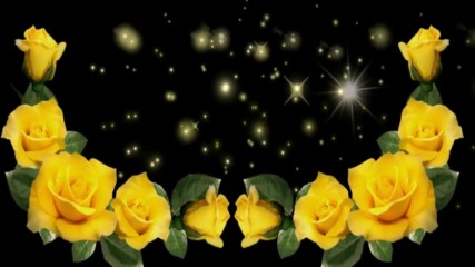 Обожавам жълти рози! ... ( Enrique Chia music) ...