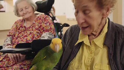 Animal Therapy: Helping the Elderly