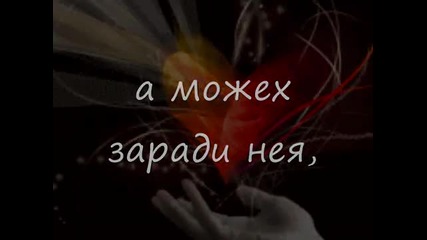 Zazopoulos 