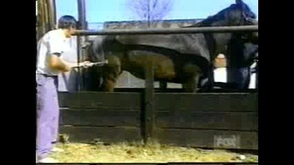 Смешни издънки 3