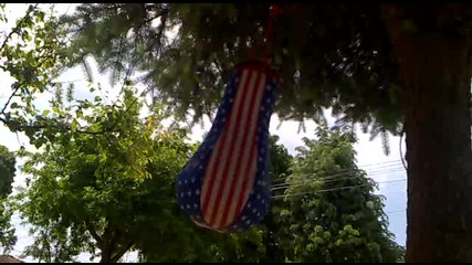 zavet 2011