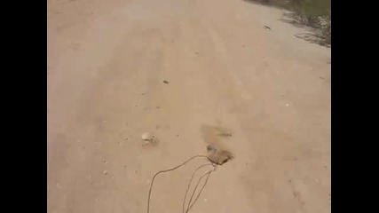 Glock Trigger
