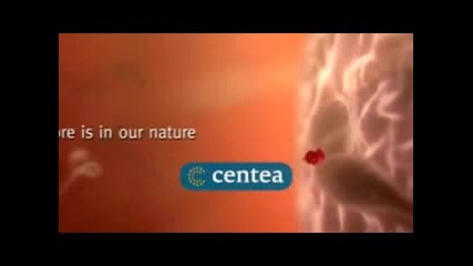 Как Става Оплождането