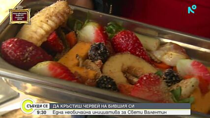 Кръсти червей на бившия си в Бургаския зоопарк