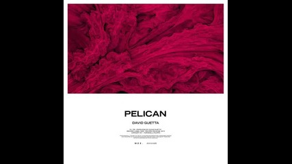 *2015* David Guetta - Pelican ( Edit )