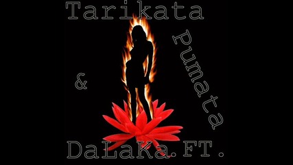 Tarikata& Liar .ft.pumata - bilet za ada