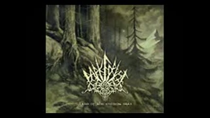 Dark Forest - Land of the Evening Star (full Album2012)