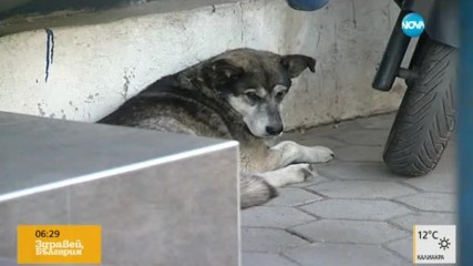 СМЯНА НА ВЛАСТТА: АПИ с ново ръководство