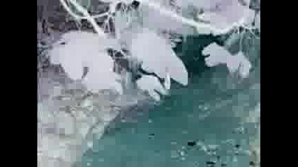 Unr Eikones pseutikes.mp4