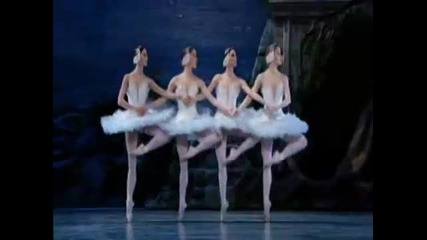 Swan Lake (ballet)