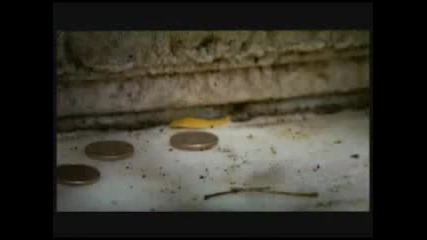 No Mercy - Where Do You Go