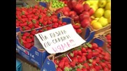Пролетни цени на ягоди и череши