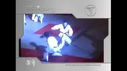 Taekwondo