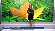 Есента дойде!