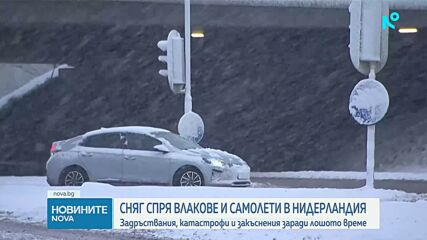 Стотици полети в Нидерландия - отменени заради силни снеговалежи