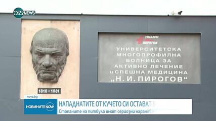 Тежко остава състоянието на нахапаните от куче в "Люлин"