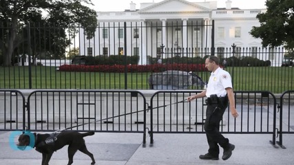 White House Fence Jumper Faces Jail