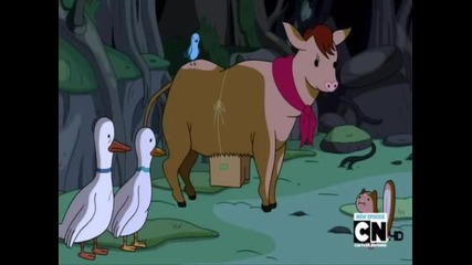 yo put that bag back on - Adventure time