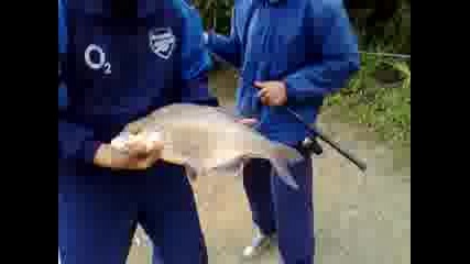 Хоме фарм,  Англия,  студентски бригади,  2008,  малини,  за риба