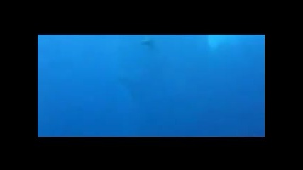 Planet Bliss - Oceanic (original Mix) 