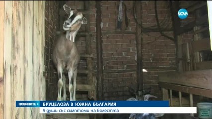 Новините на Нова (29.07.2015 - централна)