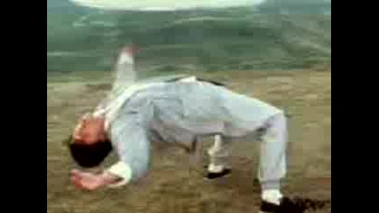 kungfucow 