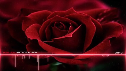 Bon Jovi - Bed Of Roses (remix)
