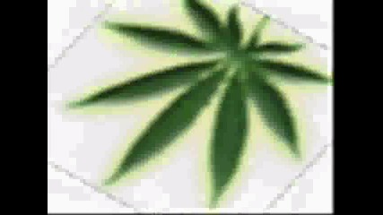 King Size - Puf paf