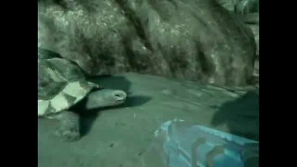 Crysis - Gameplay