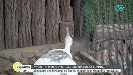 Ферма край Разград отглежда животни филмови звезди