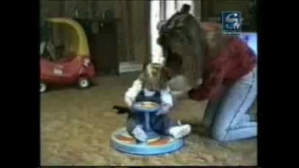 Заснети моменти на малки деца - смях 