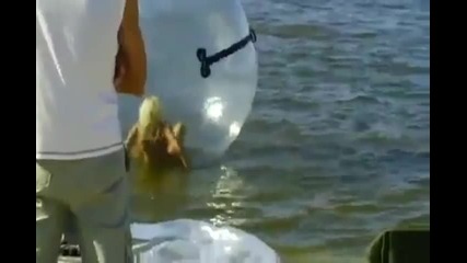 Секси Русо Момиче във водна топка - смях