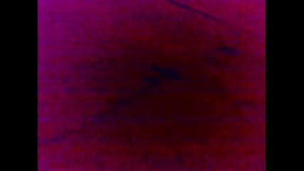 18042009043