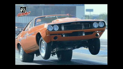 Muscle Cars-dodge