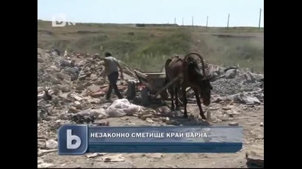 Незаконно сметище край Варна