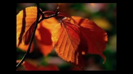 Sarah Brightman - Alhambra
