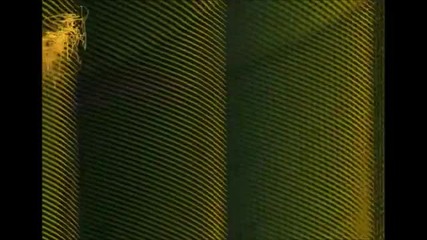 Gmo - Format
