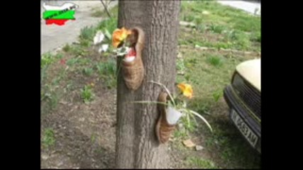 Много смях - това може да се види само в България